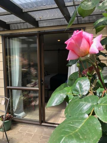 Cedar Park Bed & Breakfast Tamahere Esterno foto